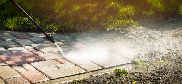 Best Animal Enclosure Cleaning  in Sawmills, NC